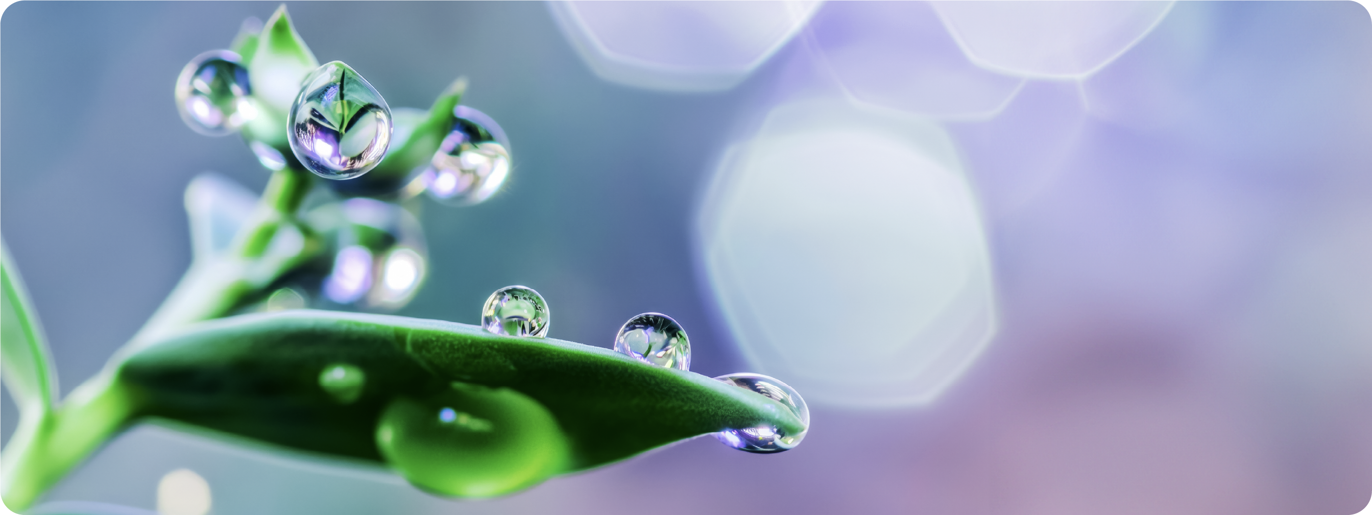 1950年代からの実績と信頼で化粧品OEM/ODM事業を展開